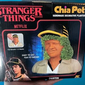 Chia Pet Stranger Things Dustin Handmade Decorative Planter